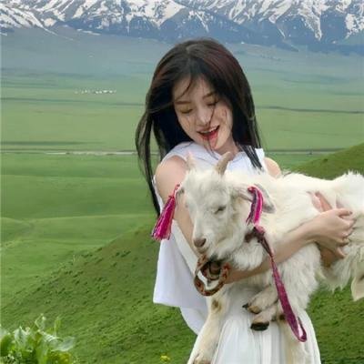 挪威的森林