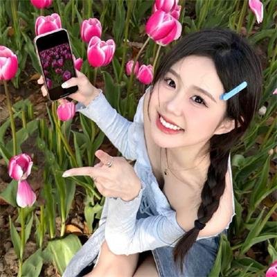 大笨蛋